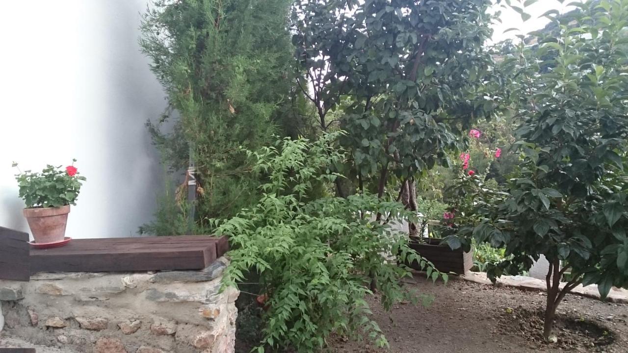 Casa-Huerto La Juana Villa Trevélez Buitenkant foto